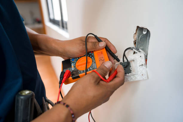 Best Electric Panel Repair  in Lecanto, FL