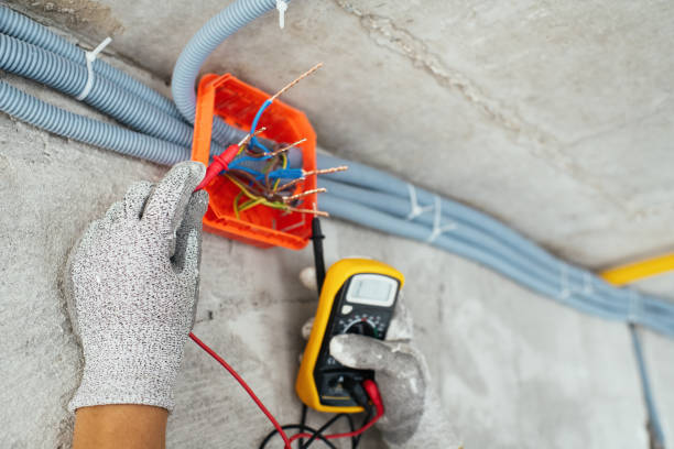 Best Affordable Electrician  in Lecanto, FL